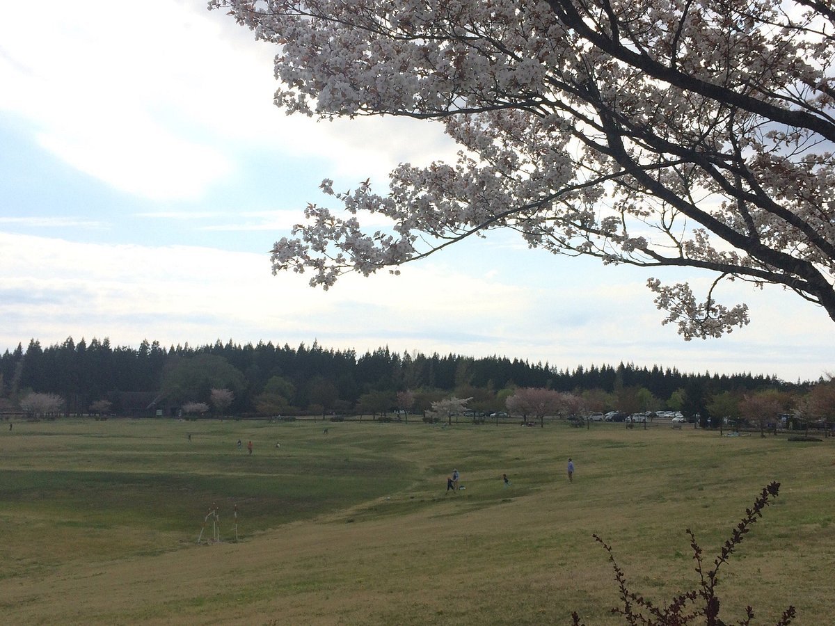 🌳 북유럽의 숲 공원(호쿠오노모리코엔)